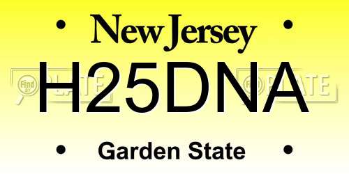 H25DNA New Jersey License Plate