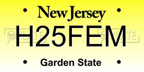 H25FEM New Jersey License Plate
