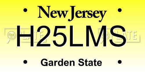 H25LMS New Jersey License Plate