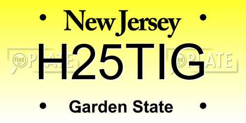 H25TIG New Jersey License Plate