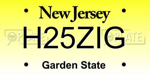 H25ZIG New Jersey License Plate
