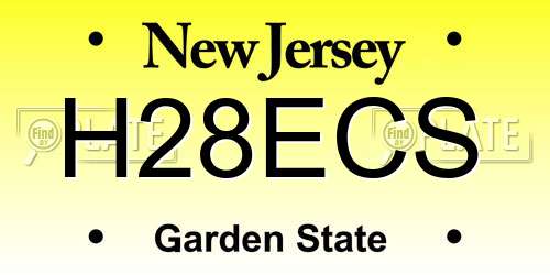 H28ECS New Jersey License Plate