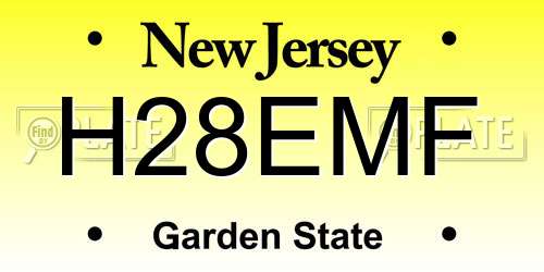 H28EMF New Jersey License Plate