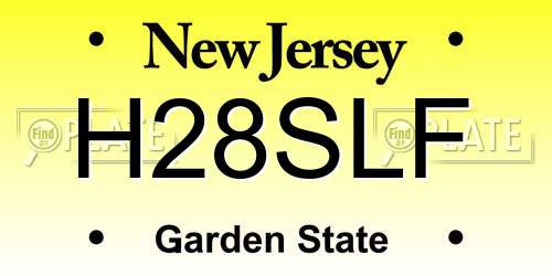 H28SLF New Jersey License Plate