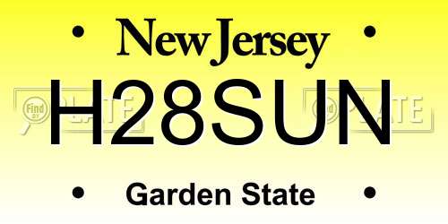 H28SUN New Jersey License Plate