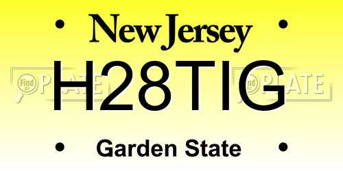 H28TIG New Jersey License Plate