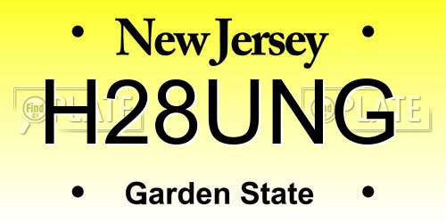 H28UNG New Jersey License Plate