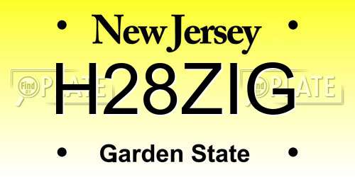 H28ZIG New Jersey License Plate