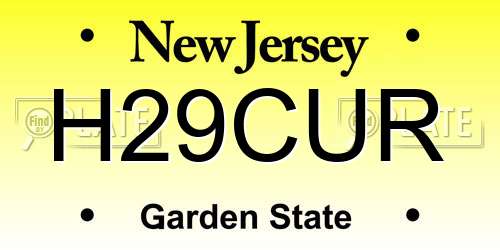 H29CUR New Jersey License Plate