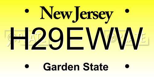 H29EWW New Jersey License Plate