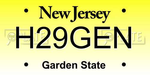 H29GEN New Jersey License Plate