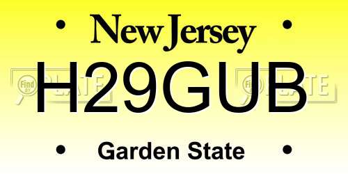 H29GUB New Jersey License Plate
