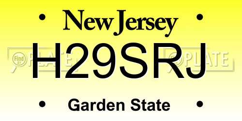 H29SRJ New Jersey License Plate