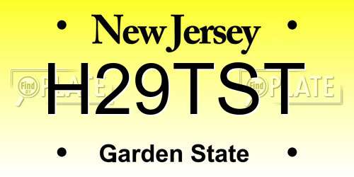 H29TST New Jersey License Plate