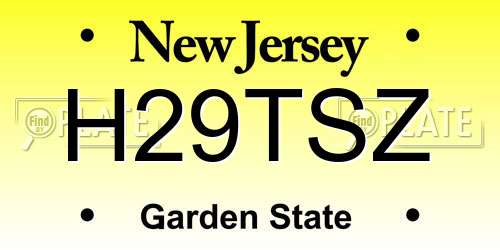 H29TSZ New Jersey License Plate