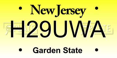 H29UWA New Jersey License Plate