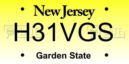 H31VGS New Jersey License Plate