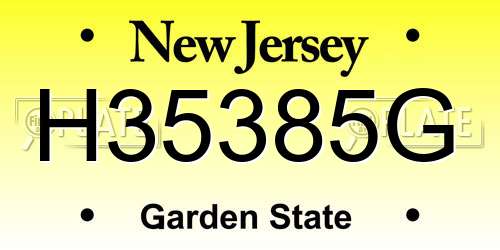H35385G New Jersey License Plate