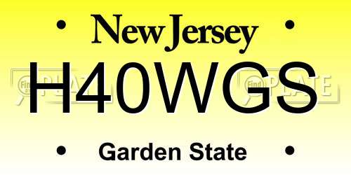 H40WGS New Jersey License Plate