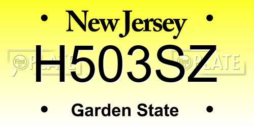 H503SZ New Jersey License Plate