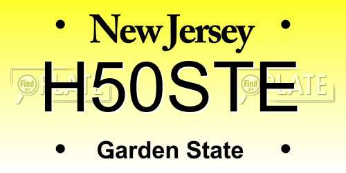H50STE New Jersey License Plate