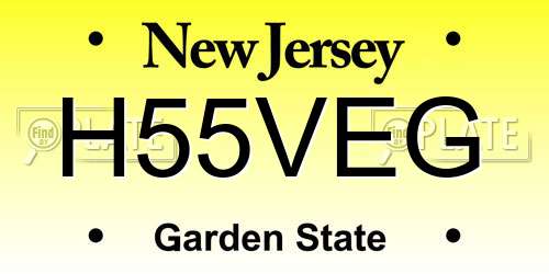 H55VEG New Jersey License Plate