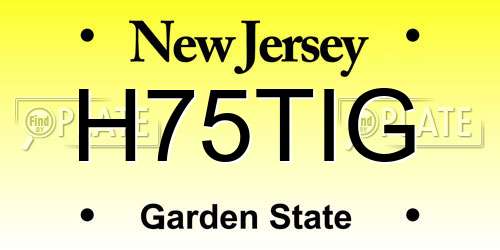 H75TIG New Jersey License Plate