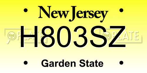 H803SZ New Jersey License Plate