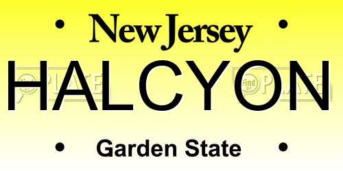 HALCYON New Jersey License Plate