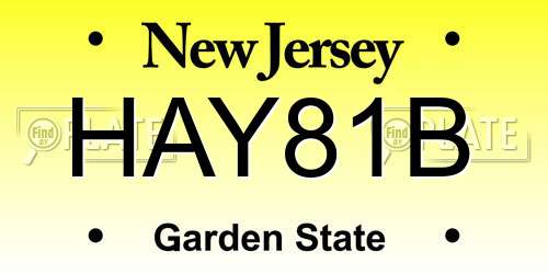 HAY81B New Jersey License Plate
