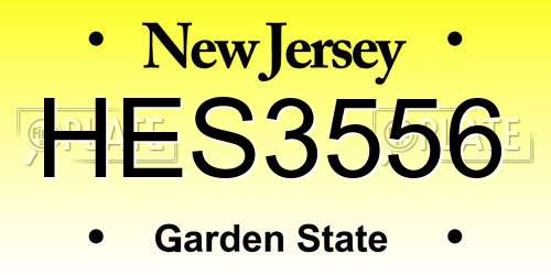 HES3556 New Jersey License Plate