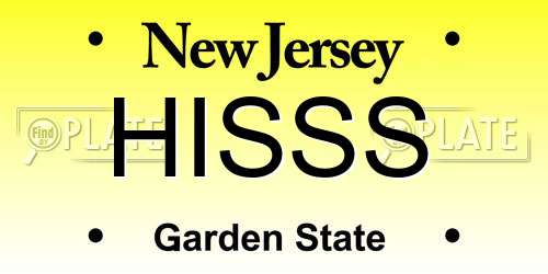 HISSS New Jersey License Plate