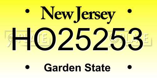 HO25253 New Jersey License Plate