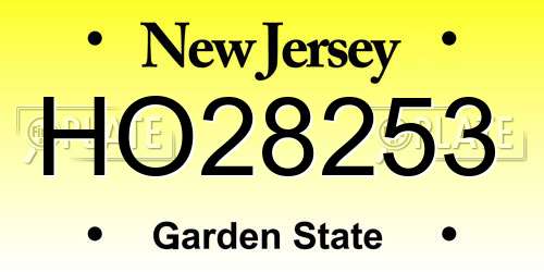 HO28253 New Jersey License Plate