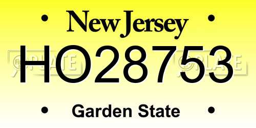 HO28753 New Jersey License Plate