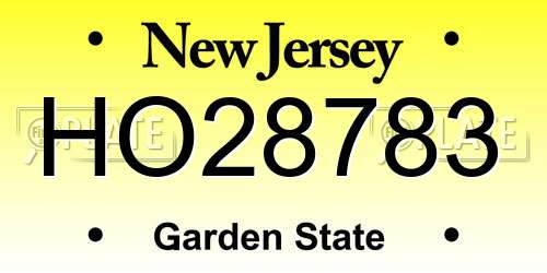 HO28783 New Jersey License Plate
