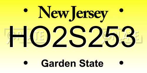 HO2S253 New Jersey License Plate