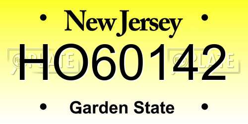 HO60142 New Jersey License Plate