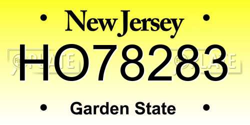 HO78283 New Jersey License Plate