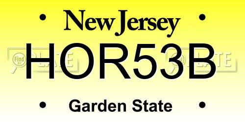 HOR53B New Jersey License Plate