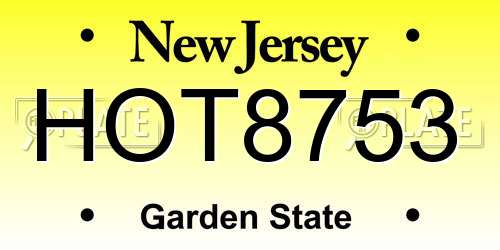 HOT8753 New Jersey License Plate