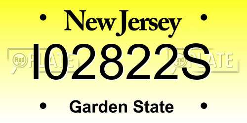 I02822S New Jersey License Plate