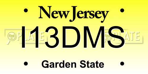 I13DMS New Jersey License Plate
