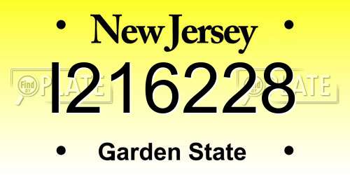 I216228 New Jersey License Plate