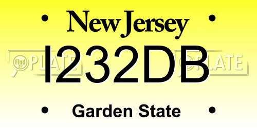 I232DB New Jersey License Plate