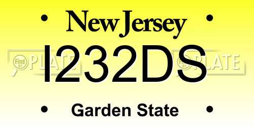 I232DS New Jersey License Plate
