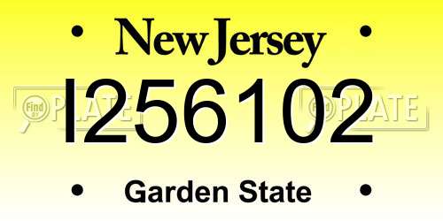 I256102 New Jersey License Plate
