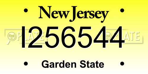 I256544 New Jersey License Plate