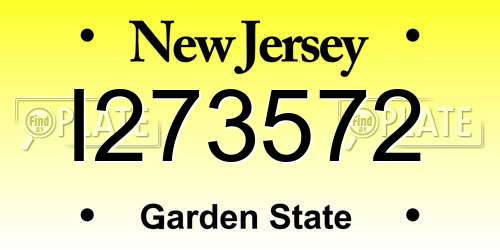 I273572 New Jersey License Plate