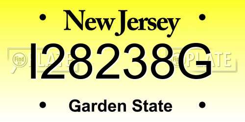I28238G New Jersey License Plate